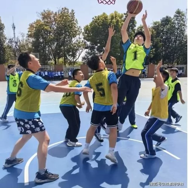 体育新闻热点追踪：数据视角下的独特洞见